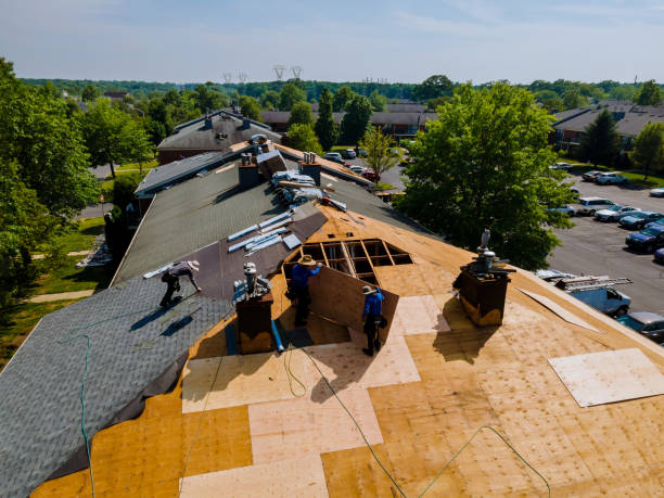 Quick and Trustworthy Emergency Roof Repair Services in Anza, CA