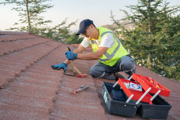 Best Storm Damage Roof Repair  in Anza, CA
